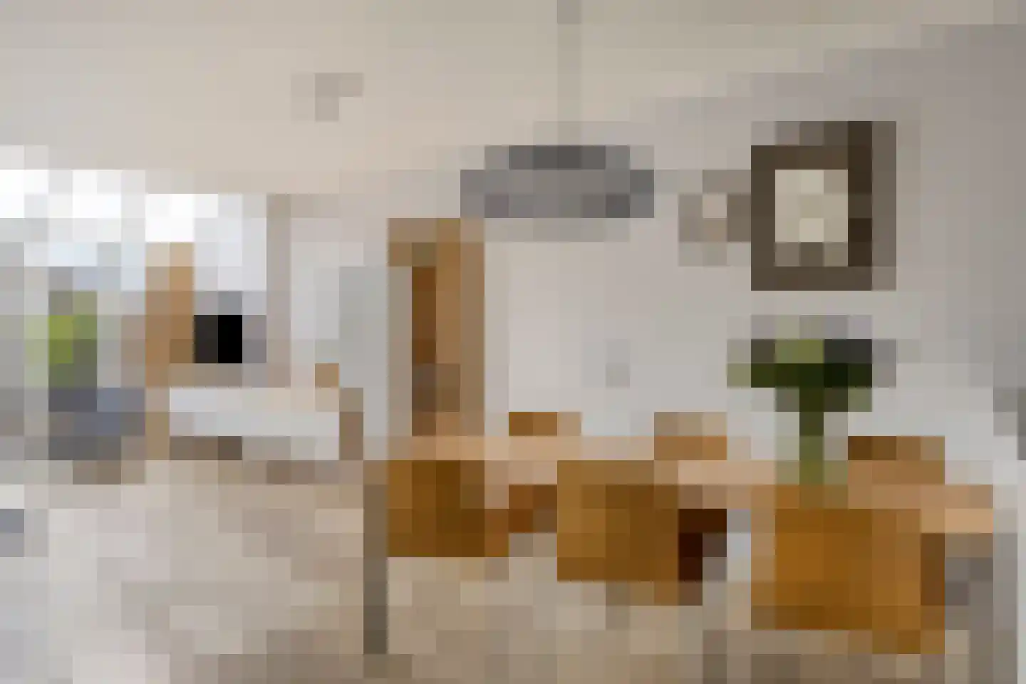 Pruylenborg 32 Hendrik-Ido-Ambacht thumbnail 9