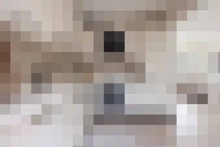 Ptolemaeusstraat 5 Apeldoorn thumbnail 12