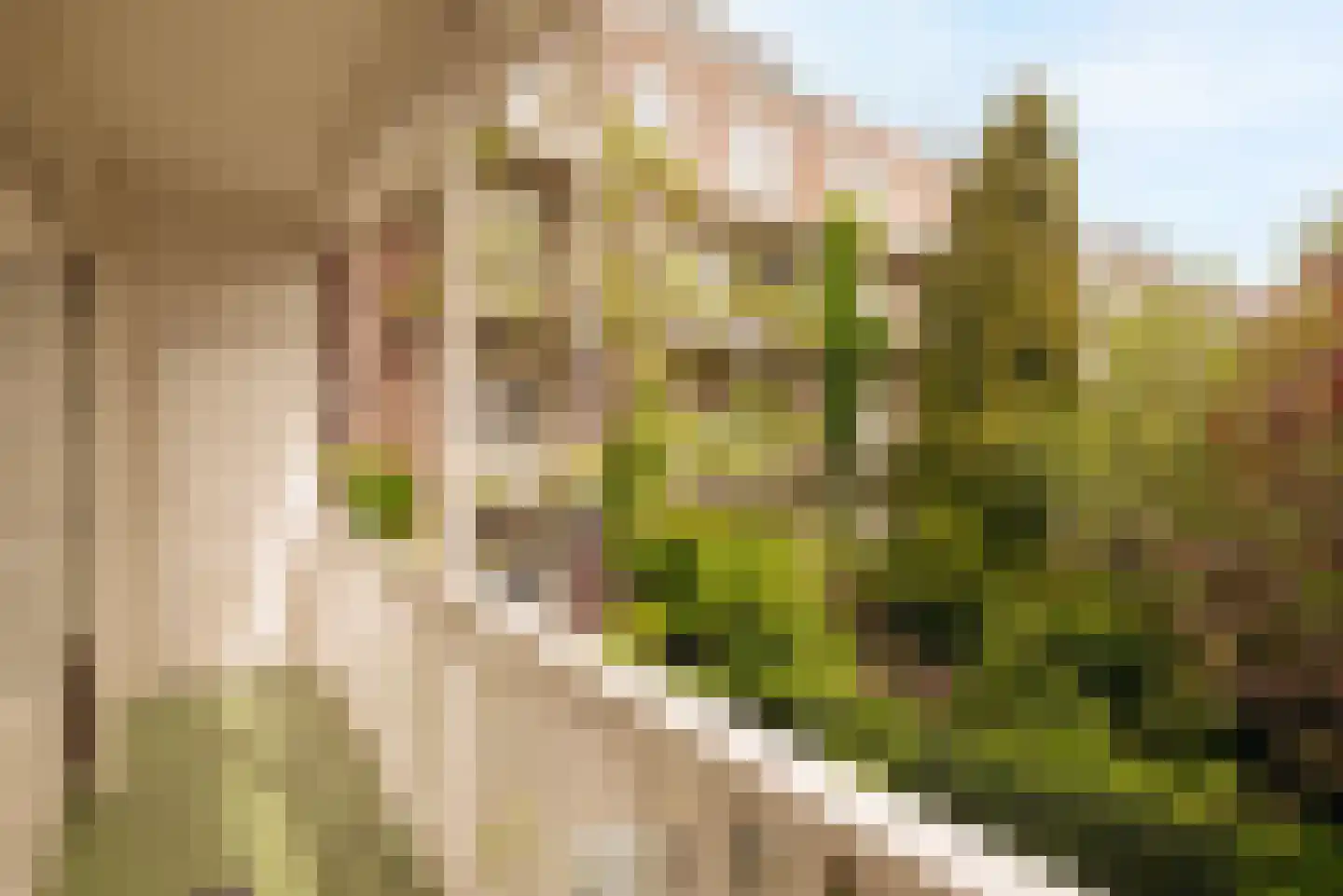 Ptolemaeusstraat 5 H Amsterdam thumbnail 22