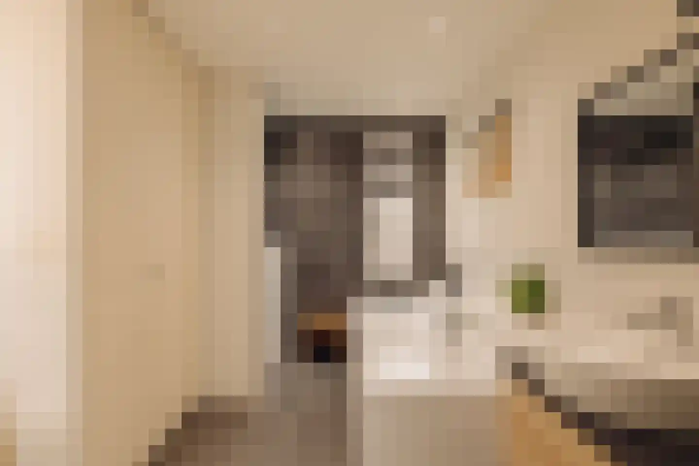 Ptolemaeusstraat 5 H Amsterdam thumbnail 30