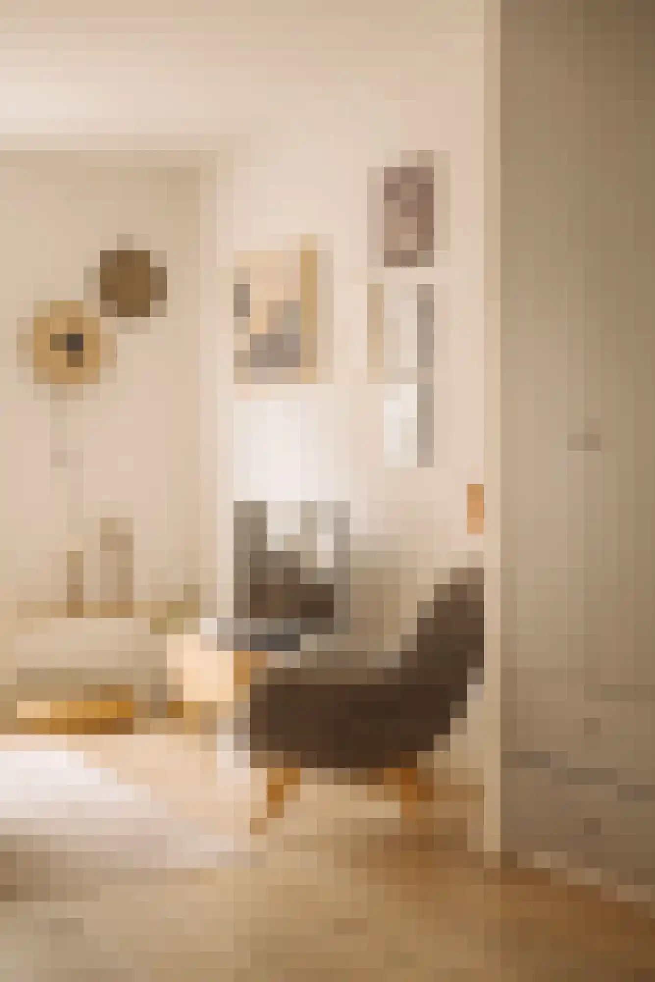 Ptolemaeusstraat 5 H Amsterdam thumbnail 7