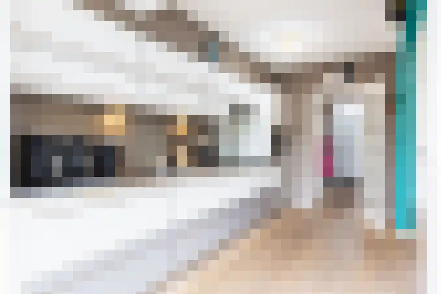 Ptolemaeusstraat 7 Apeldoorn thumbnail 8