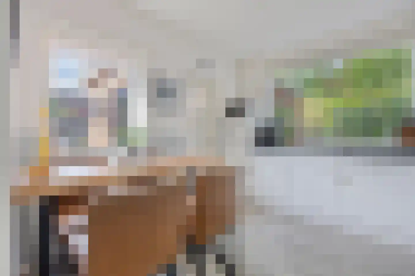 Ptr Hafkenscheidstraat 8 A Ulft thumbnail 13