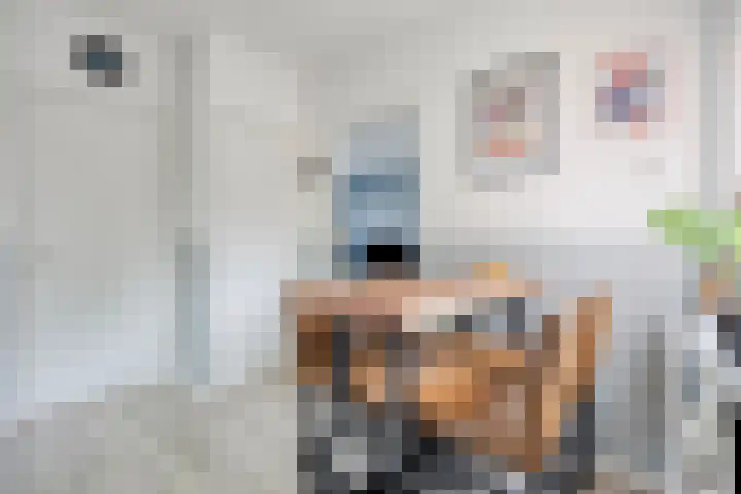 Ptr Hafkenscheidstraat 8 A Ulft thumbnail 15