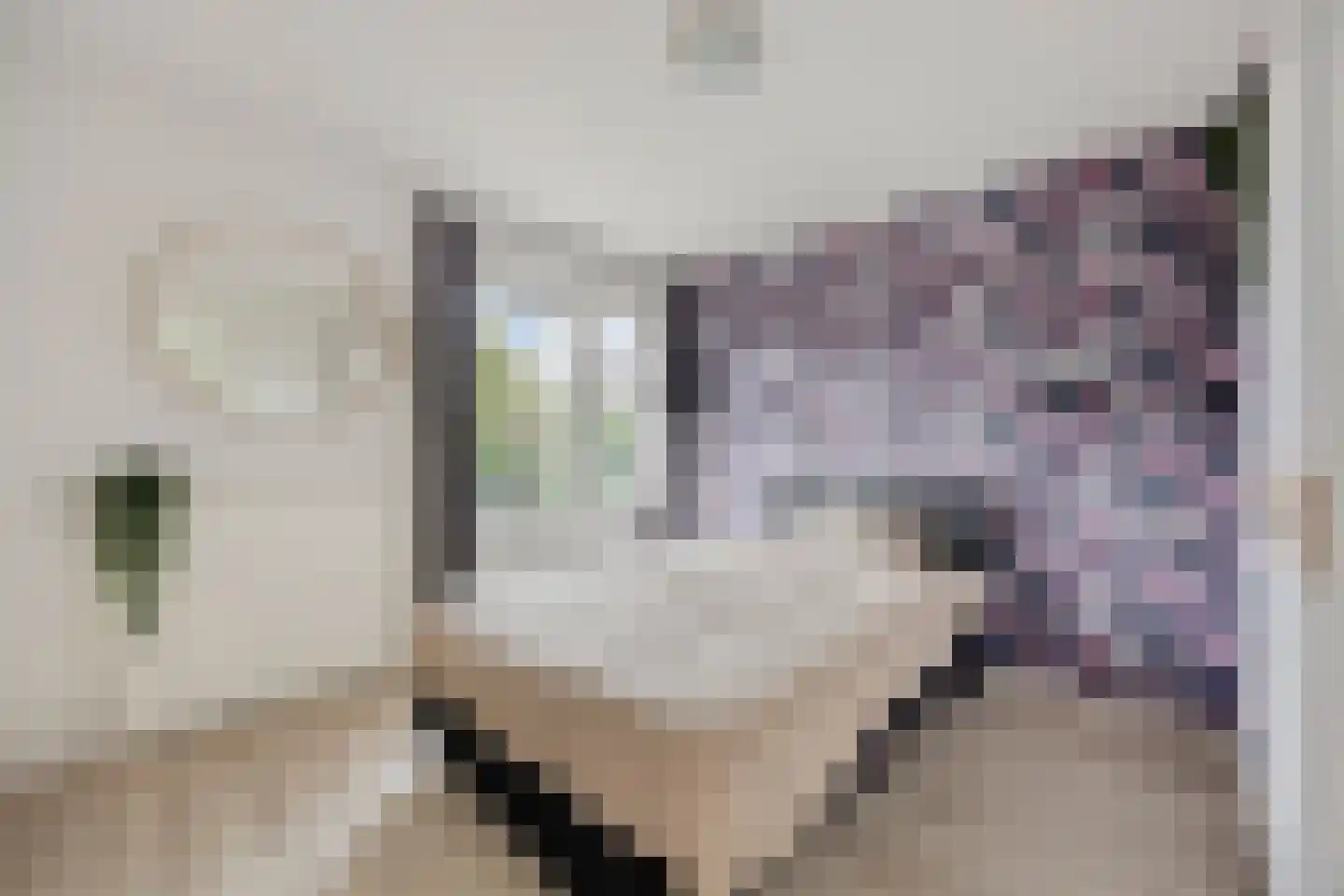Ptr Hafkenscheidstraat 8 A Ulft thumbnail 20
