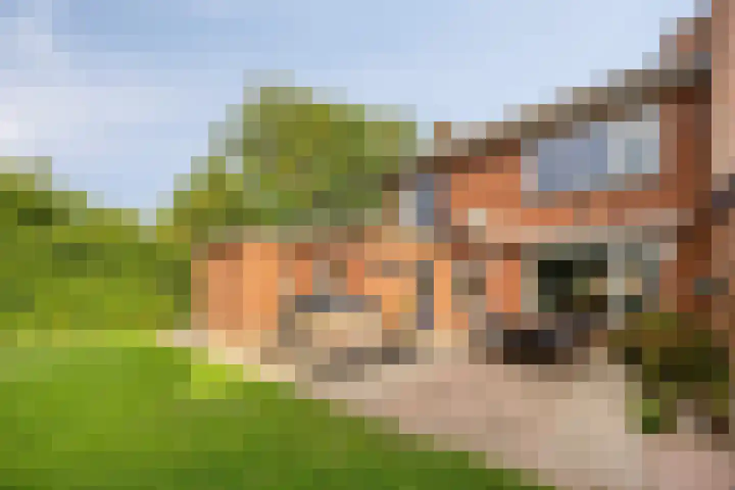 Ptr Hafkenscheidstraat 8 A Ulft thumbnail 25