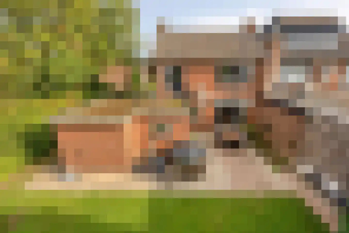 Ptr Hafkenscheidstraat 8 A Ulft thumbnail 30