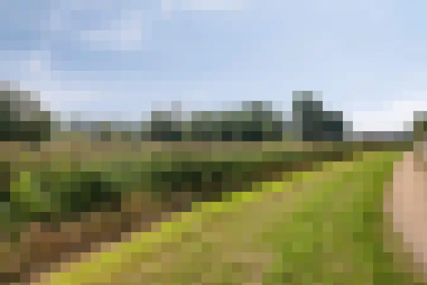 Ptr Hafkenscheidstraat 8 A Ulft thumbnail 38