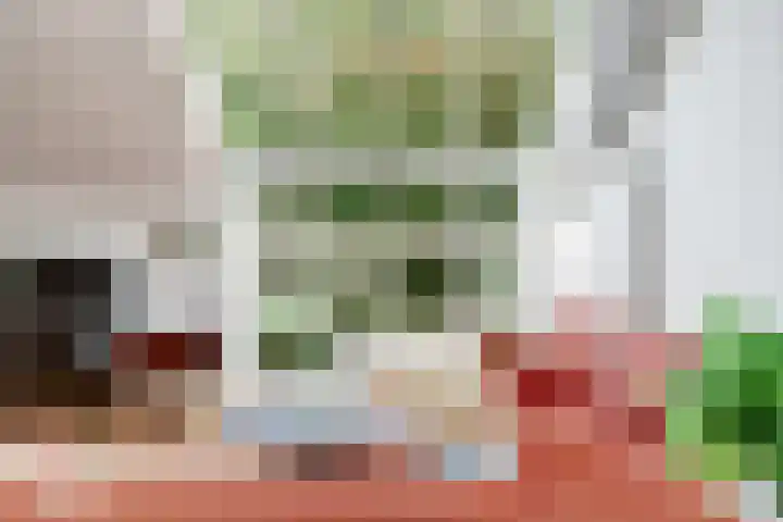 Puccinihof 2 A Nieuwegein thumbnail 16