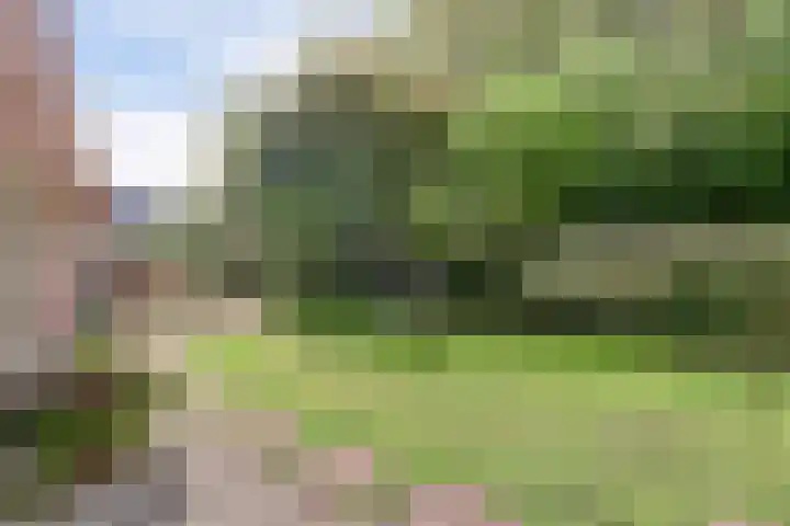 Puccinihof 2 A Nieuwegein thumbnail 5