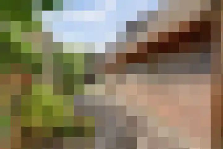 Puccinihof 2 A Nieuwegein thumbnail 59