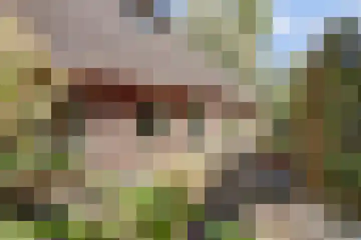 Puccinihof 2 A Nieuwegein thumbnail 60