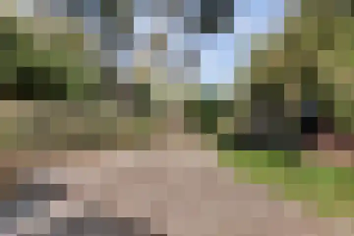 Puccinihof 2 A Nieuwegein thumbnail 62