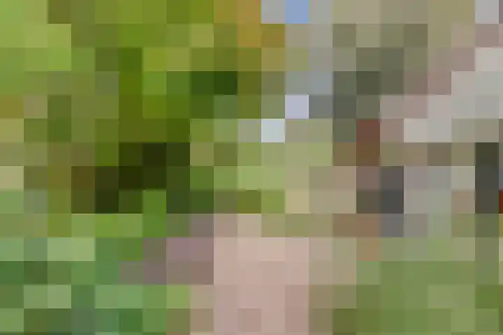 Puccinihof 2 A Nieuwegein thumbnail 64