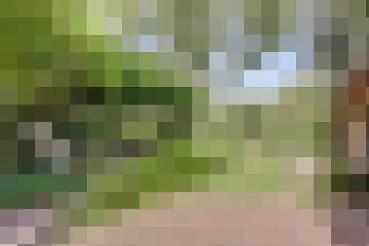 Puccinihof 2 A Nieuwegein thumbnail 66