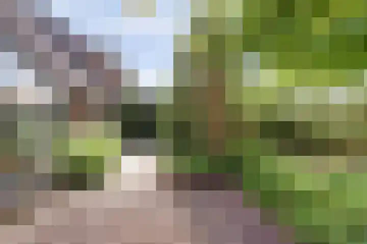 Puccinihof 2 A Nieuwegein thumbnail 68