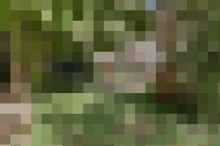 Puccinihof 2 A Nieuwegein thumbnail 69