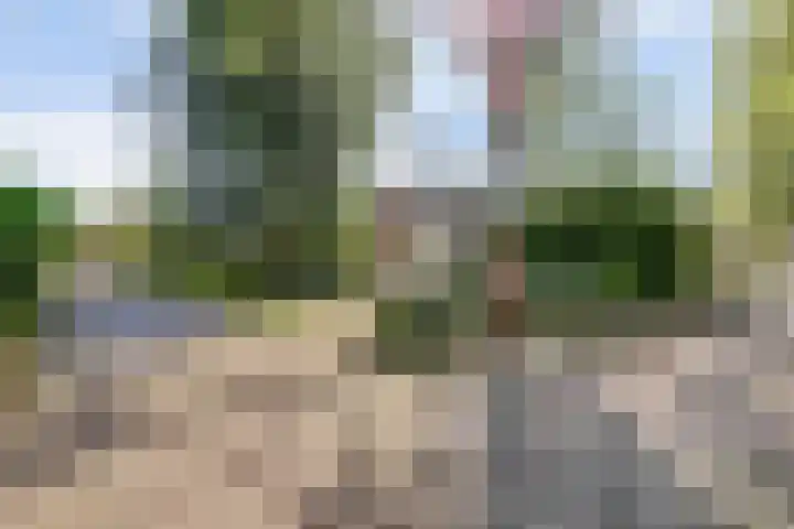 Puccinihof 2 A Nieuwegein thumbnail 7