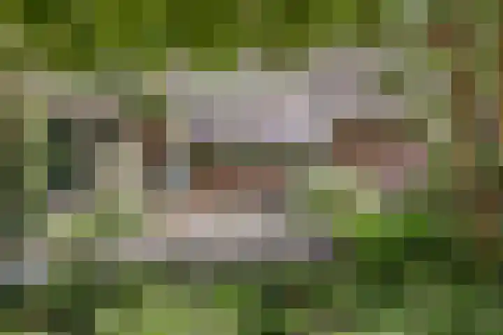 Puccinihof 2 A Nieuwegein thumbnail 70