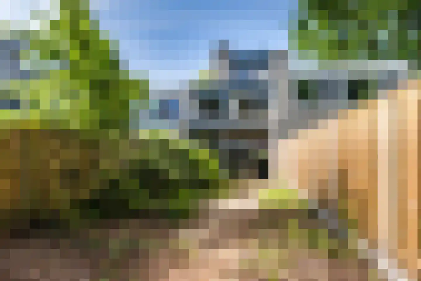 Puccinihof 638 Tilburg thumbnail 31