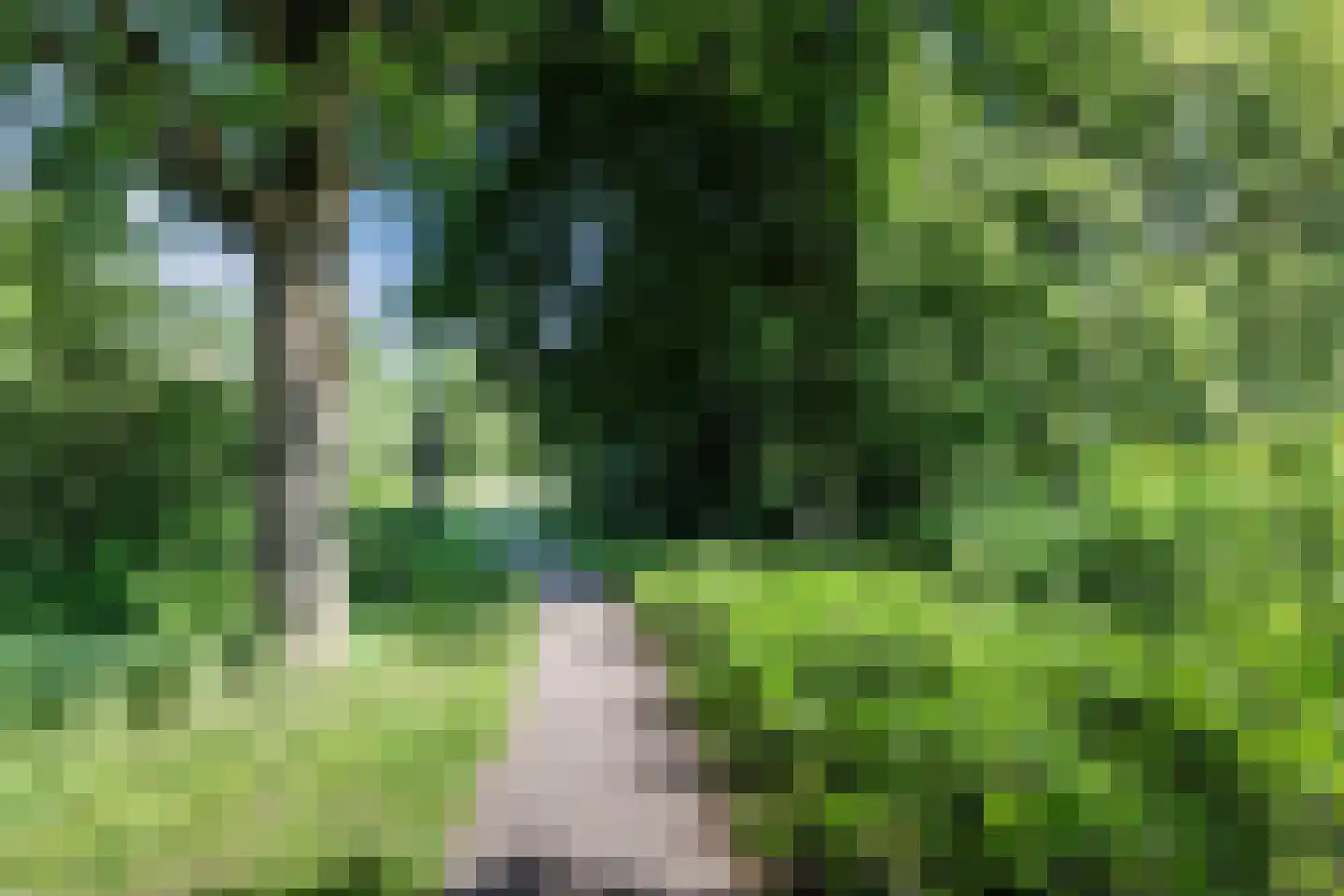 Puccinihof 638 Tilburg thumbnail 35