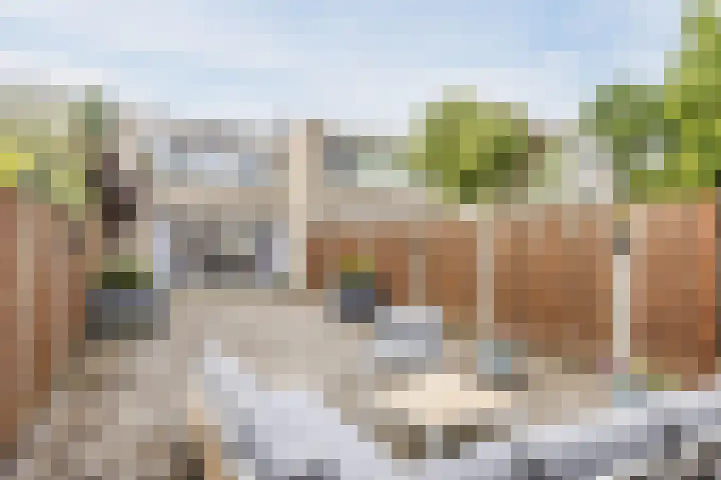 Puccinihof 643 Tilburg thumbnail 22