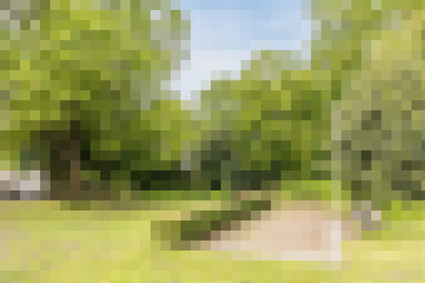 Puccinihof 643 Tilburg thumbnail 33