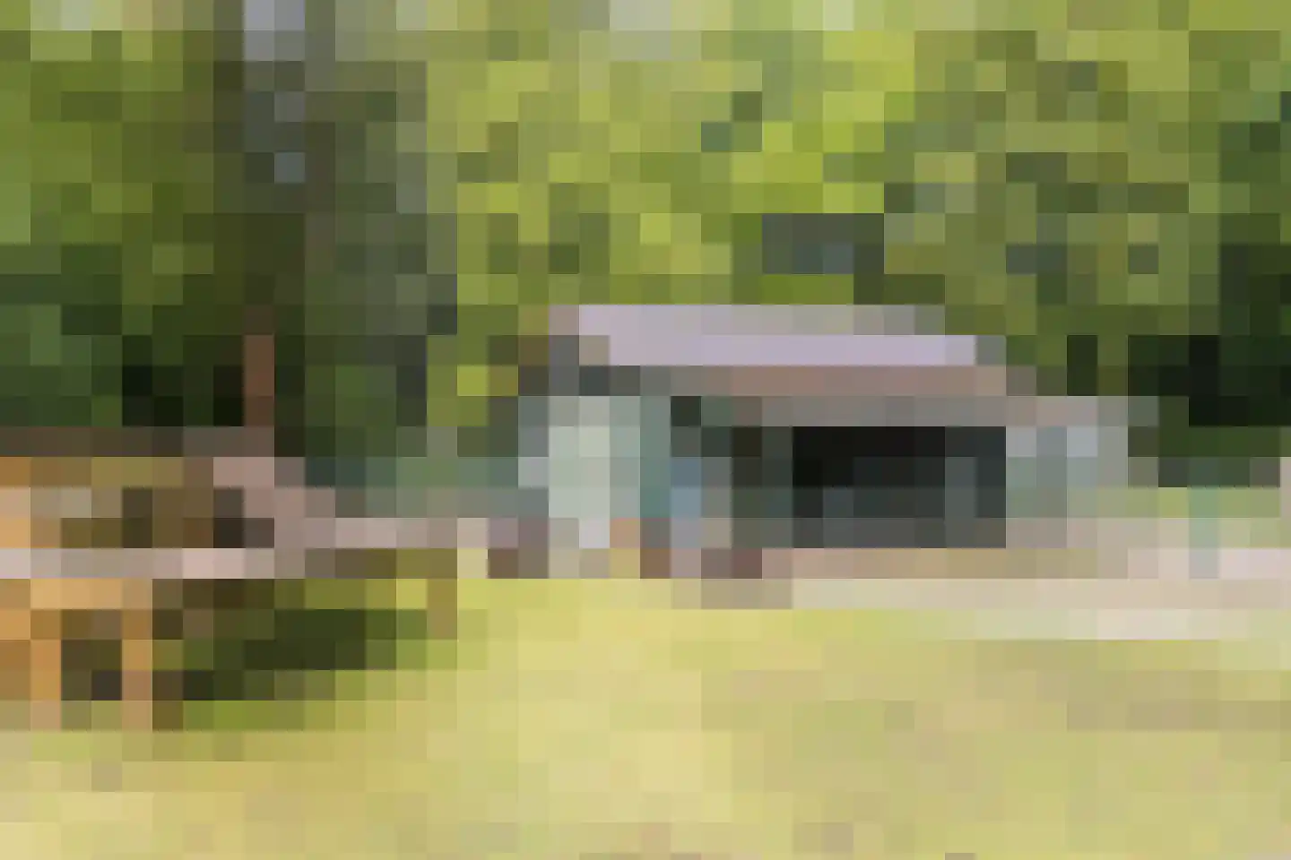 Puccinihof 643 Tilburg thumbnail 35