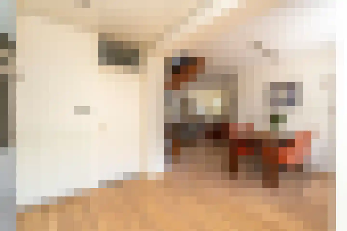 Puccinihof 663 Tilburg thumbnail 15