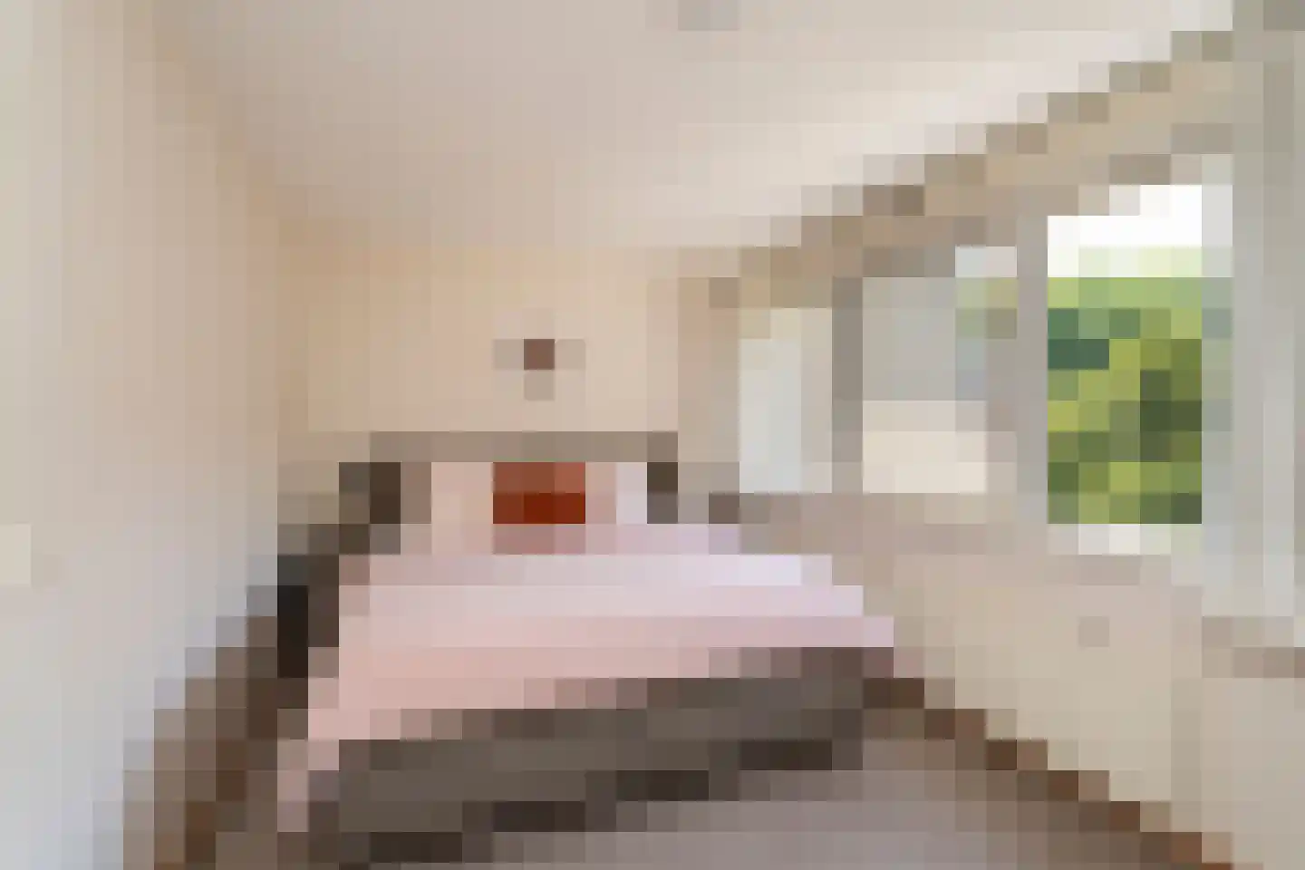 Puccinihof 663 Tilburg thumbnail 17