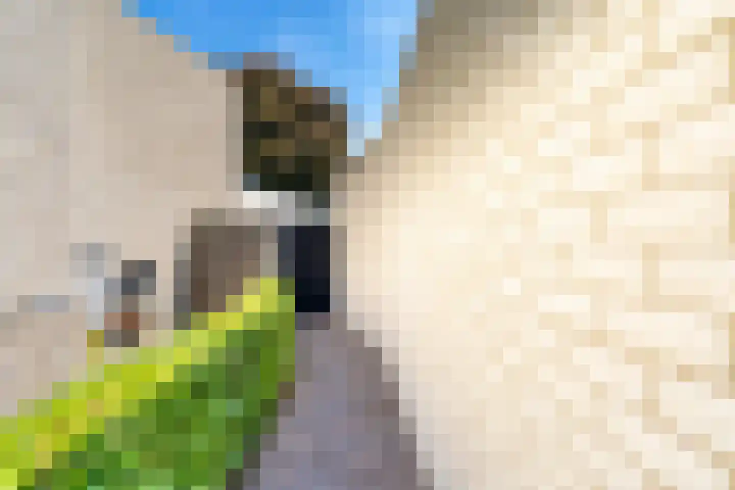 Puccinihof 663 Tilburg thumbnail 32
