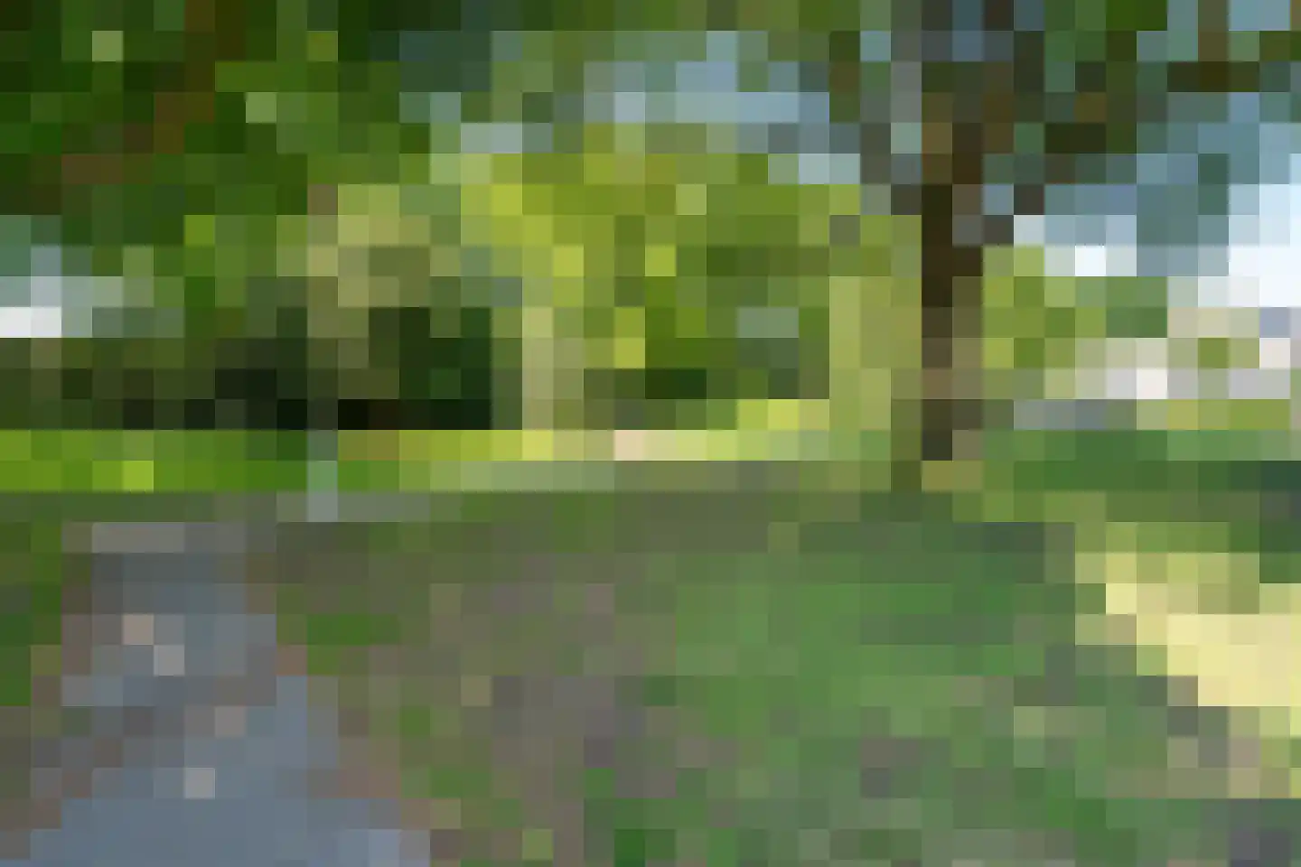 Puccinihof 663 Tilburg thumbnail 37