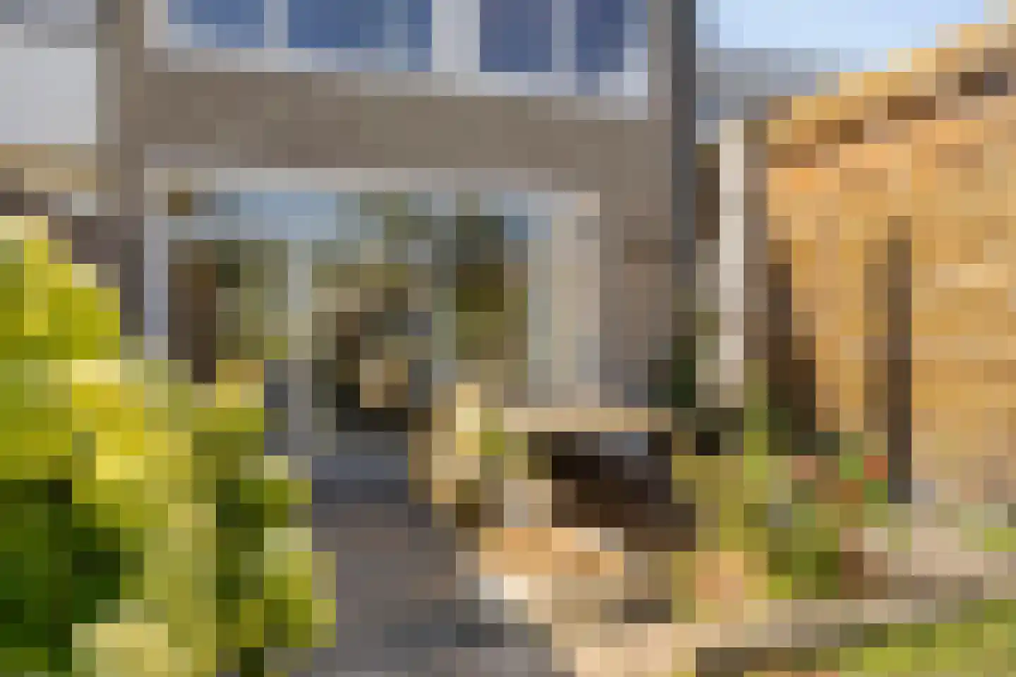 Puccinihof 670 Tilburg thumbnail 24