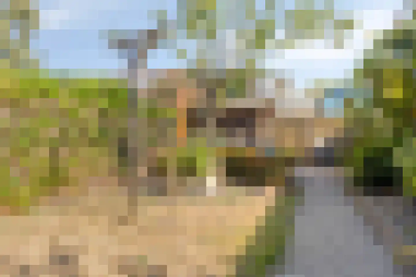 Puccinihof 670 Tilburg thumbnail 25