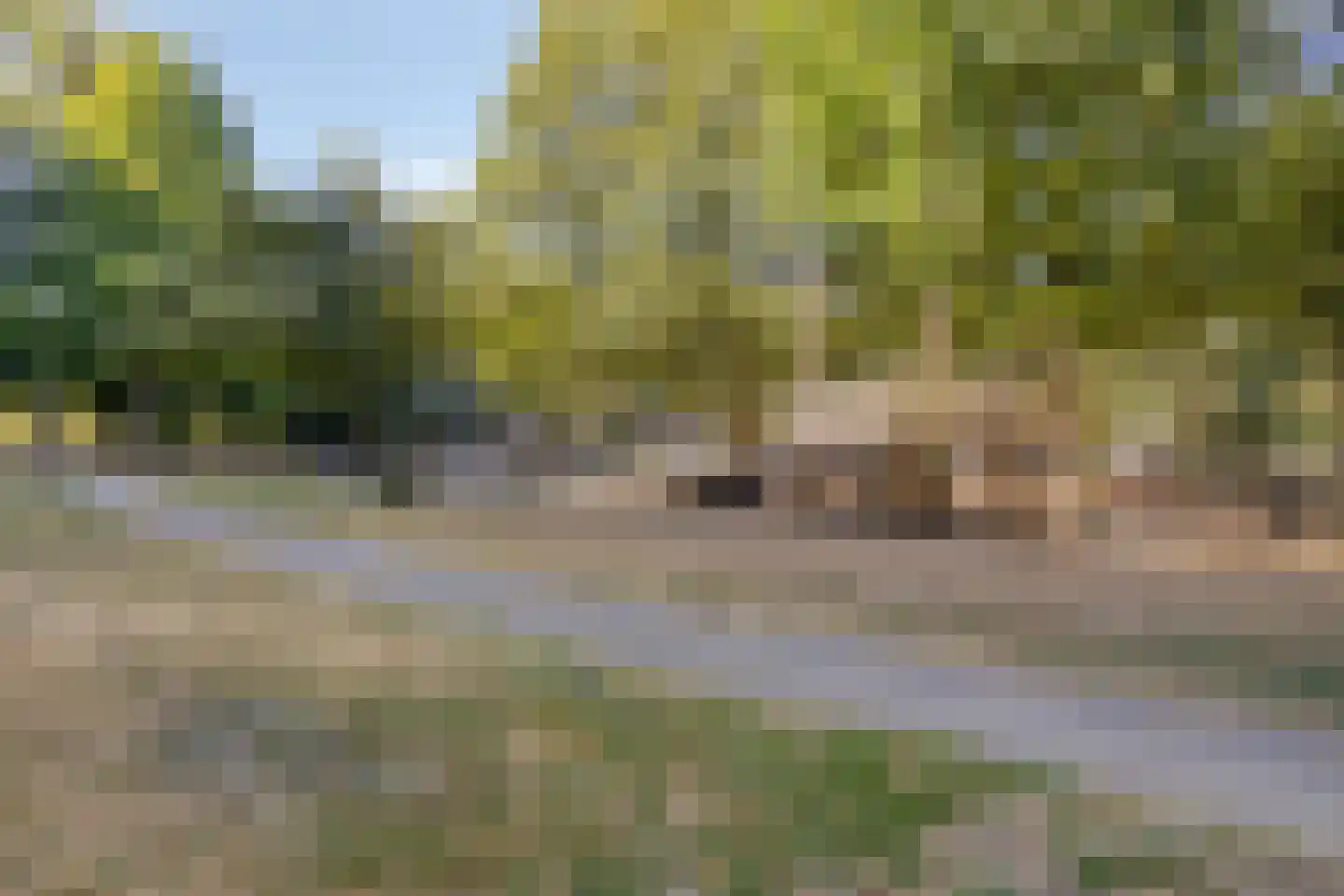 Puccinihof 670 Tilburg thumbnail 27