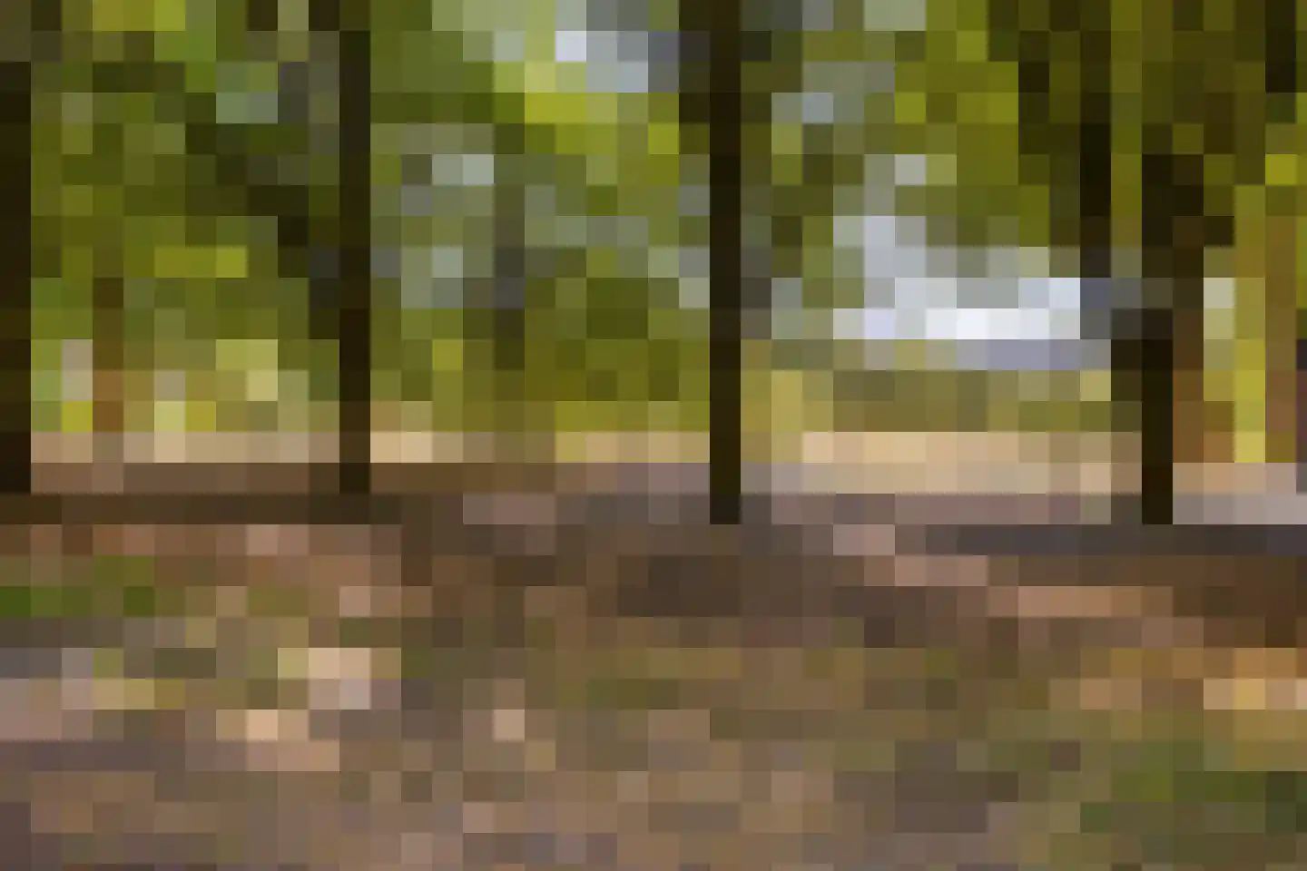 Puccinihof 670 Tilburg thumbnail 29