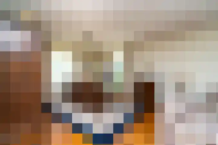 Puccinilaan 1 b Berkel-Enschot thumbnail 13