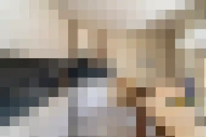 Puccinilaan 1 b Berkel-Enschot thumbnail 15