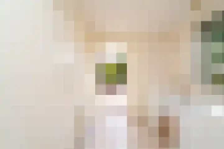 Puccinilaan 1 b Berkel-Enschot thumbnail 16