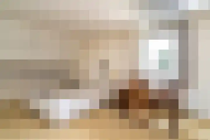 Puccinilaan 1 b Berkel-Enschot thumbnail 28