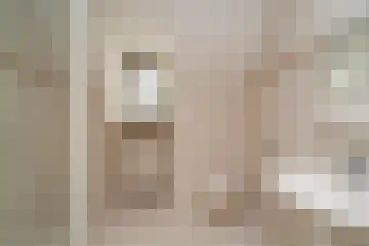 Puccinilaan 1 b Berkel-Enschot thumbnail 30