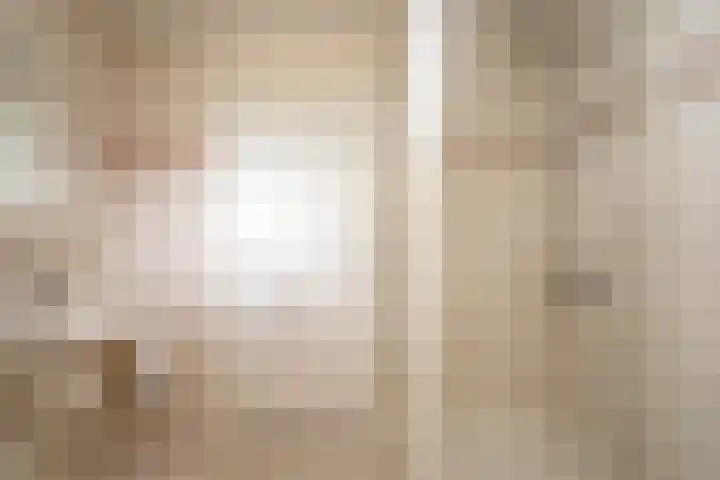 Puccinilaan 1 b Berkel-Enschot thumbnail 31