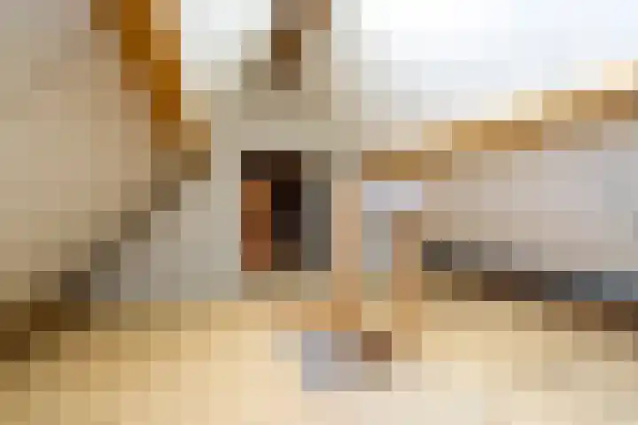 Puccinilaan 1 b Berkel-Enschot thumbnail 32
