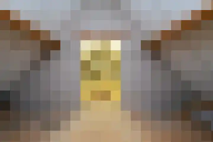 Puccinilaan 1 b Berkel-Enschot thumbnail 33