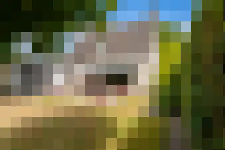 Puccinilaan 1 b Berkel-Enschot thumbnail 34