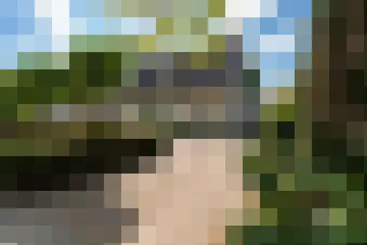 Puccinilaan 1 b Berkel-Enschot thumbnail 37