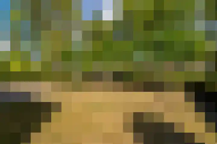 Puccinilaan 1 b Berkel-Enschot thumbnail 38