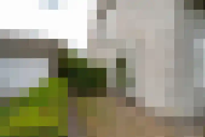 Puccinilaan 1 b Berkel-Enschot thumbnail 39