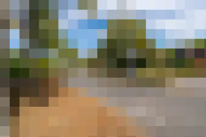 Puccinilaan 1 b Berkel-Enschot thumbnail 41