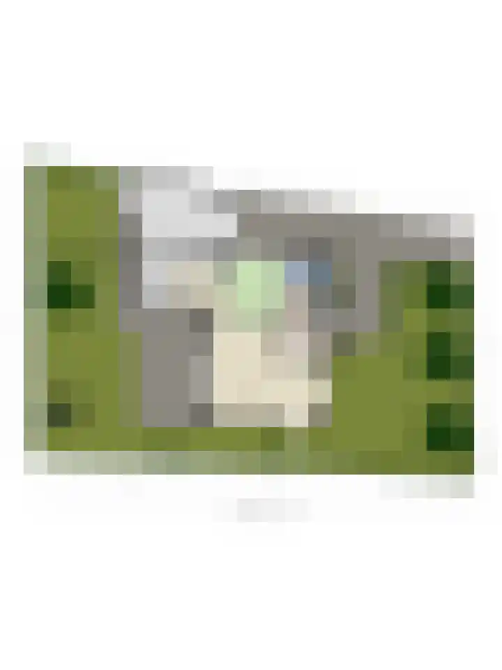 Puccinilaan 1 b Berkel-Enschot thumbnail 45